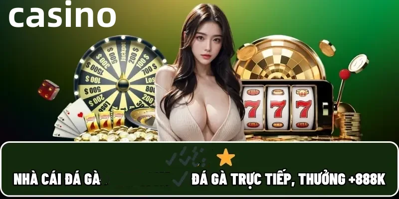 336play