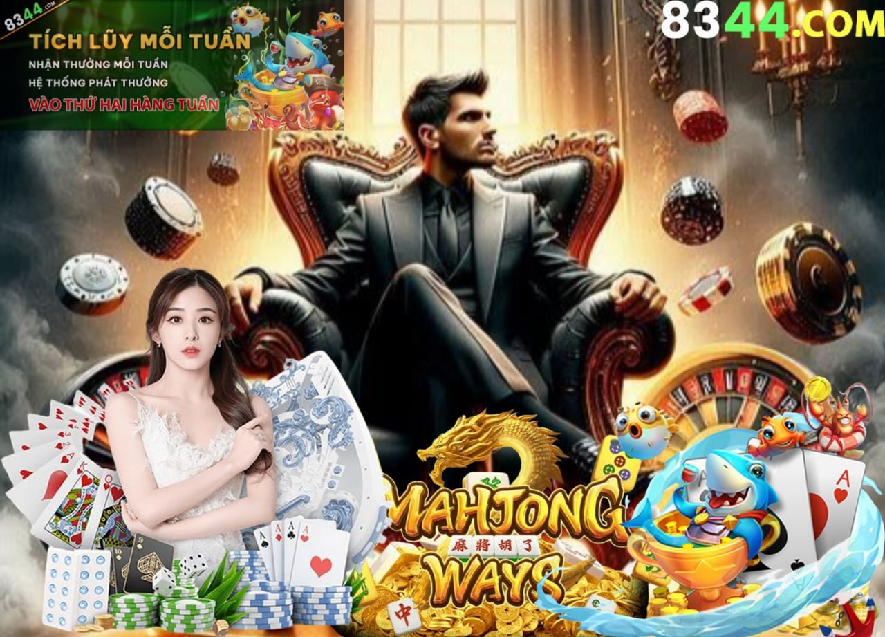 336play