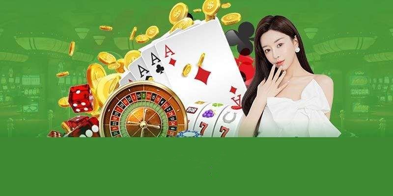 336play